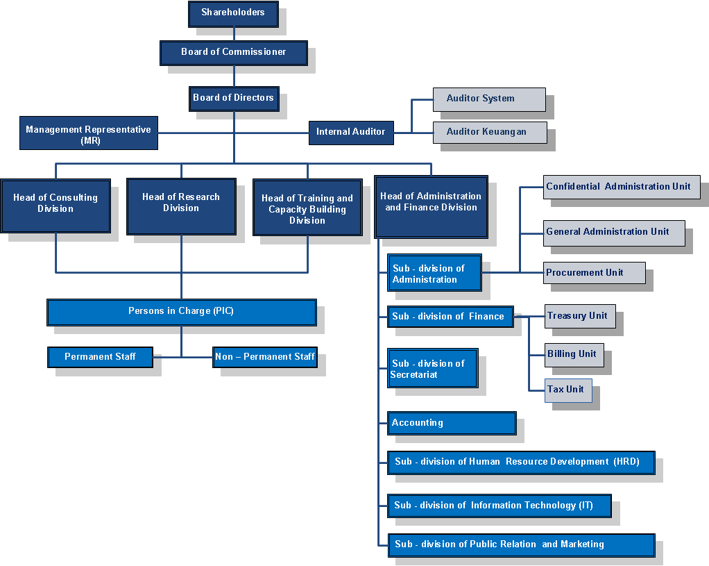 organization_structure